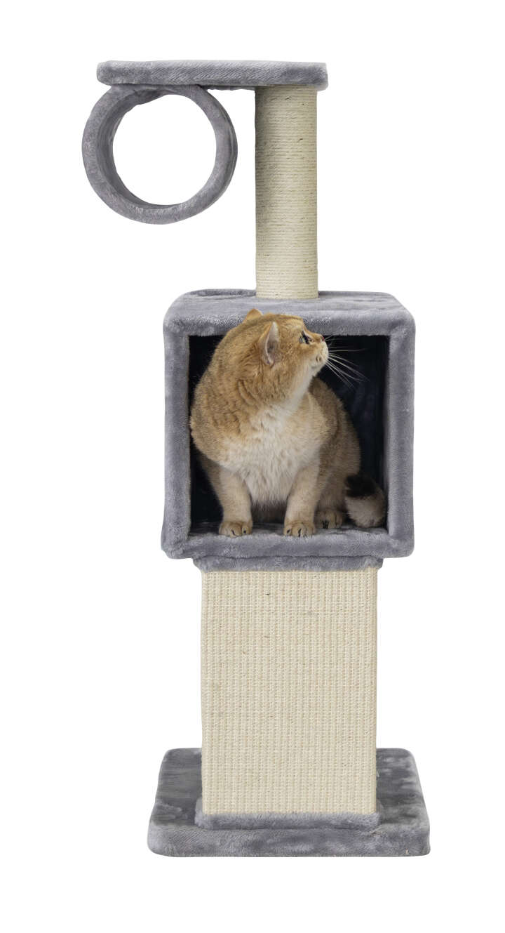 Nobby Kratzbaum Fina